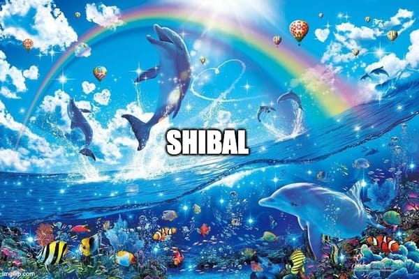 Rainbows and dolphins, hot airballons, and colorful fish dance around. the word "shibal" is overlaid in the middle